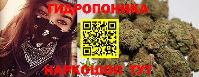 тгк Севастополь