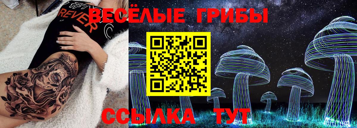 Галлюциногенные грибы ЛСД  Вход с VPN  Пугачёв 